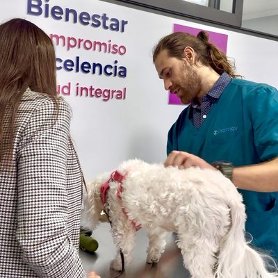 Mascota en atención en Premev
